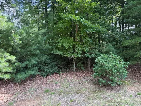 lot119 Rich Pine Dr, Purlear, NC 28665 photo 7