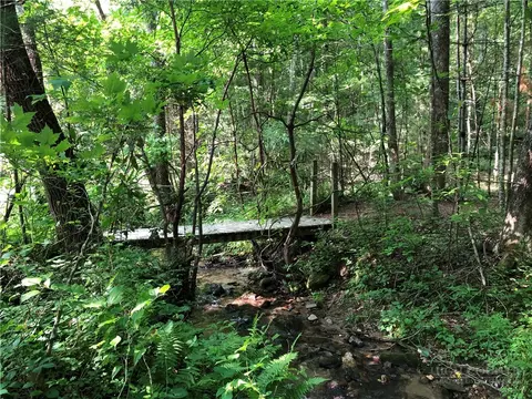 lot119 Rich Pine Dr, Purlear, NC 28665 photo 24