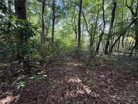 lot119 Rich Pine Dr, Purlear, NC 28665 photo 4