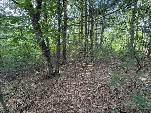 lot119 Rich Pine Dr, Purlear, NC 28665 photo 5