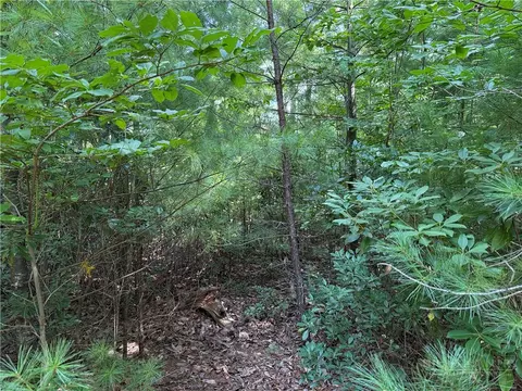 lot119 Rich Pine Dr, Purlear, NC 28665 photo 6