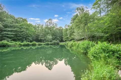 lot119 Rich Pine Dr, Purlear, NC 28665 photo 31