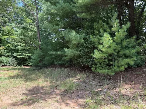 lot119 Rich Pine Dr, Purlear, NC 28665 photo 8