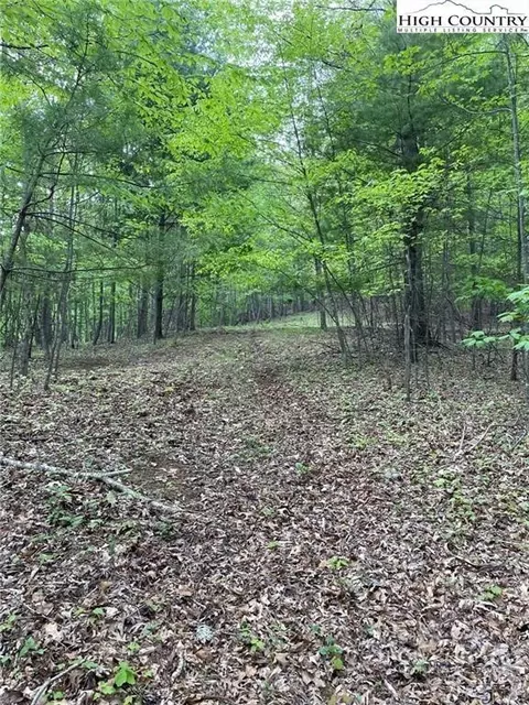 tbd Edwin Blevins Rd, Jefferson, NC 28640 photo 7