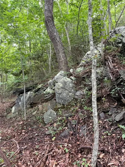 tbd Edwin Blevins Rd, Jefferson, NC 28640 photo 25