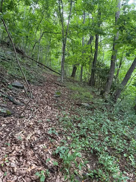 tbd Edwin Blevins Rd, Jefferson, NC 28640 photo 23