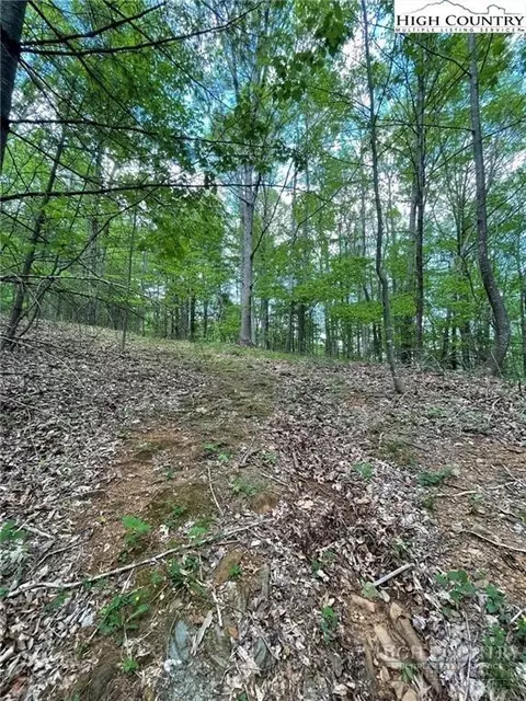 tbd Edwin Blevins Rd, Jefferson, NC 28640 photo 5