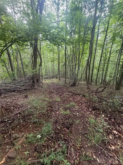 tbd Edwin Blevins Rd, Jefferson, NC 28640 photo 8