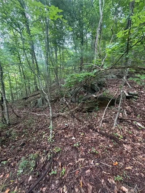 tbd Edwin Blevins Rd, Jefferson, NC 28640 photo 22