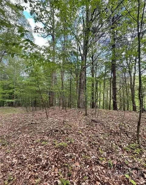 tbd Edwin Blevins Rd, Jefferson, NC 28640 photo 2