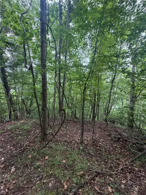 tbd Edwin Blevins Rd, Jefferson, NC 28640 photo 20