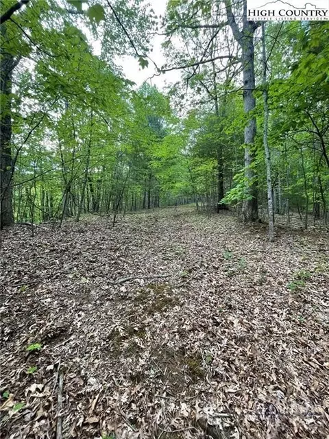 tbd Edwin Blevins Rd, Jefferson, NC 28640 photo 3