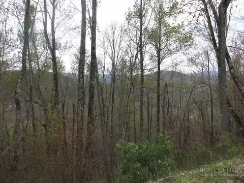 tbd Great Sky Dr, Todd, NC 28684 photo 4