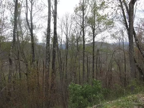 tbd Great Sky Dr, Todd, NC 28684 photo 2