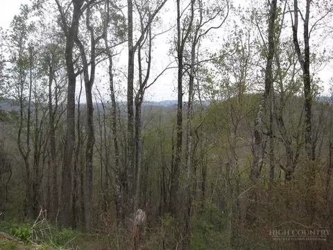 tbd Great Sky Dr, Todd, NC 28684 photo 5