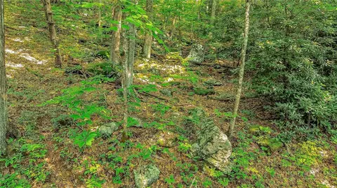 tbd Little Windfall Rd, Lansing, NC 28643 photo 33