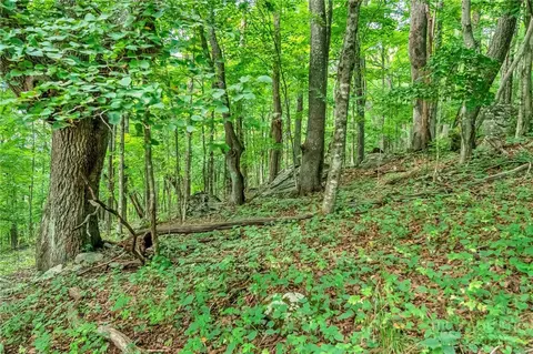 tbd Little Windfall Rd, Lansing, NC 28643 photo 34