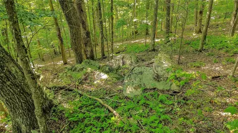 tbd Little Windfall Rd, Lansing, NC 28643 photo 32