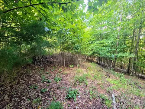 tbd Pine Springs Dr, Jefferson, NC 28640 photo 7