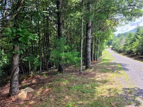 tbd Pine Springs Dr, Jefferson, NC 28640 photo 5