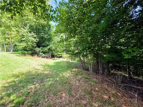tbd Pine Springs Dr, Jefferson, NC 28640 photo 2