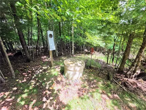 tbd Pine Springs Dr, Jefferson, NC 28640 photo 4