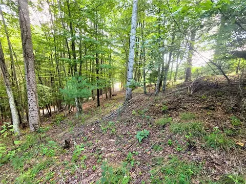 tbd Pine Springs Dr, Jefferson, NC 28640 photo 8