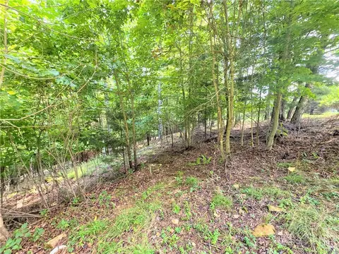 tbd Pine Springs Dr, Jefferson, NC 28640 photo 6