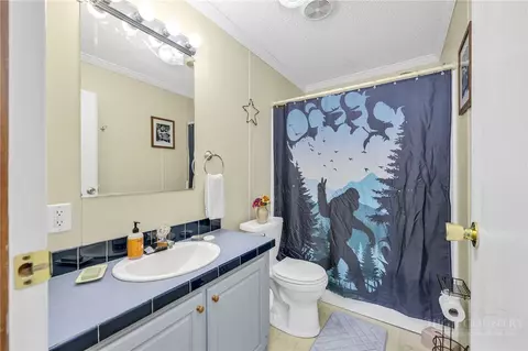 Bath - 447 John Baker Rd, Crumpler, NC 28617 photo 3 of 4