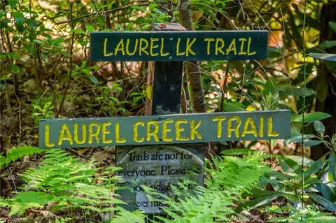 Other - 412 Laurel Cir, Deep Gap, NC 28618 photo 10 of 10