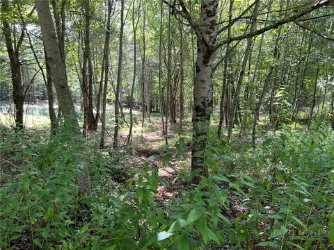 tbd Abigail Ln, Deep Gap, NC 28618 photo 2