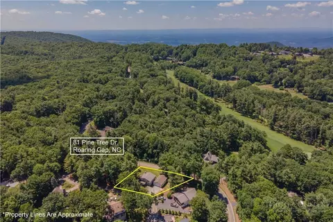 View/Area - 81 Pine Tree Dr, Roaring Gap, NC 28668 photo 2 of 4