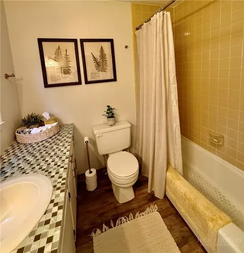 Bath - 95 Pine Tree Dr, Roaring Gap, NC 28668 photo 7 of 7