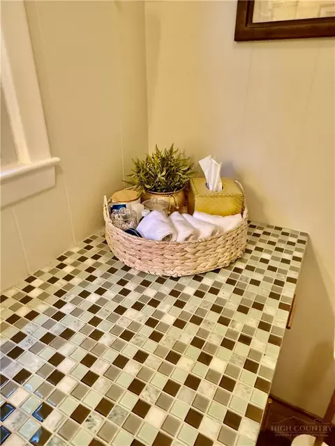 Bath - 95 Pine Tree Dr, Roaring Gap, NC 28668 photo 6 of 7