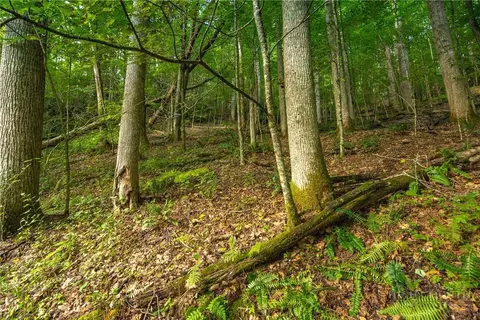 tbd Wasatch Dr, Boone, NC 28607 photo 4