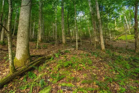 tbd Wasatch Dr, Boone, NC 28607 photo 3