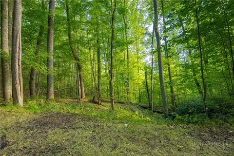 tbd Wasatch Dr, Boone, NC 28607 photo 2