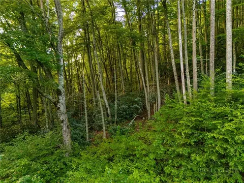 tbd Wasatch Dr, Boone, NC 28607 photo 5