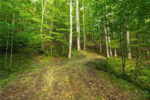 tbd Wasatch Dr, Boone, NC 28607 photo 20