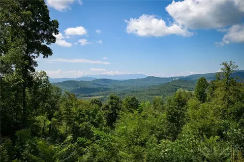 tbd Mount Mitchell Overlook Overlook, Spruce Pine, NC 28777 photo 21