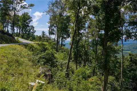 tbd Mount Mitchell Overlook Overlook, Spruce Pine, NC 28777 photo 17