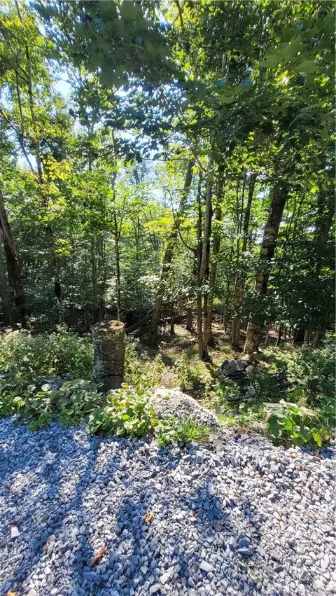 112 Upper Snowbird Trl, Beech Mountain, NC 28604 photo 3