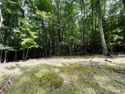 104 N Hickory Ln, Beech Mountain, NC 28604 photo 3