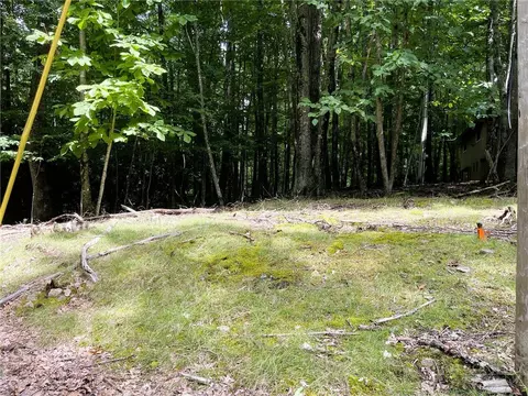 104 N Hickory Ln, Beech Mountain, NC 28604 photo 4