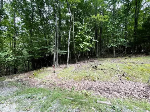 104 N Hickory Ln, Beech Mountain, NC 28604 photo 5