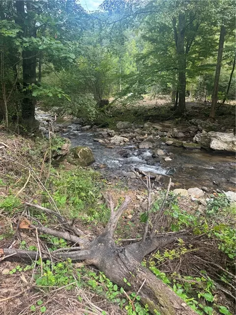 Tba Stony Fork, Ferguson, NC 28624 photo 12
