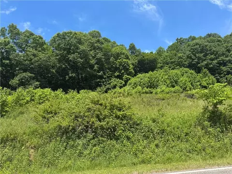 tbd Peak Rd, Creston, NC 28615 photo 9