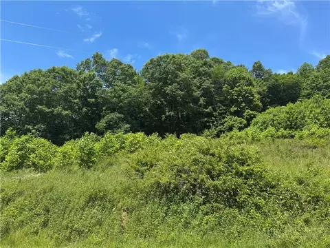 tbd Peak Rd, Creston, NC 28615 photo 10