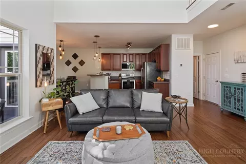 Living - 234 Azor Ct #4A, Boone, NC 28607 photo 4 of 4