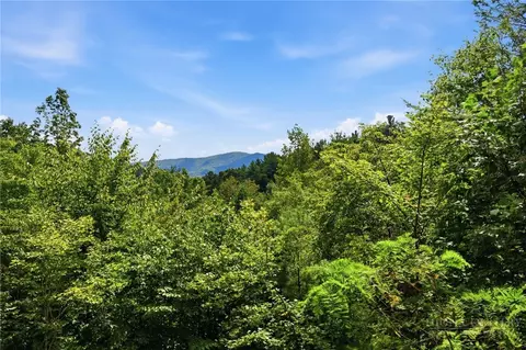 568 Deer Run Rd, Purlear, NC 28665 photo 18